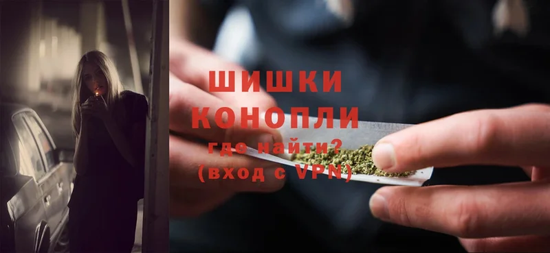 Конопля White Widow  Гдов 